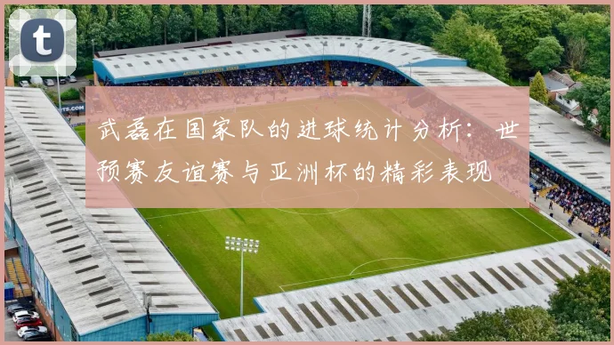 武磊在国家队的进球统计分析：世预赛友谊赛与亚洲杯的精彩表现